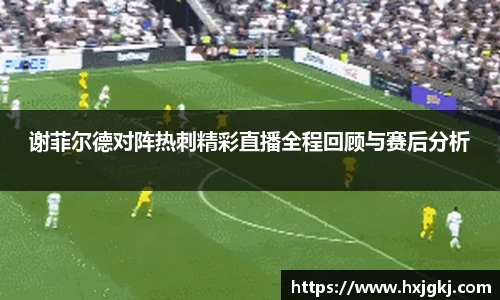谢菲尔德对阵热刺精彩直播全程回顾与赛后分析