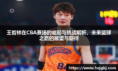王哲林在CBA赛场的崛起与挑战解析，未来篮球之路的展望与期待